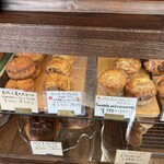 LITTLE LIGHTS - ショーケースの真ん中辺り( ´ ▽ ` )