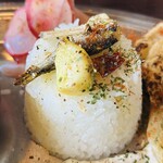 Spunkycurry saki  - 可愛いサイズのオイルサーディン