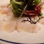 バレーナ - 大分県産アオリイカとスズキのカルパッチョ 1,980円