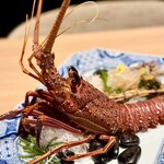 横浜中納言 日本大通り - 