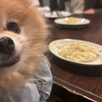 ボンマルシェボンテ - 