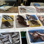 まるいち食堂 - 店先の魚