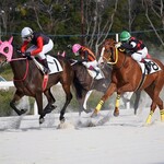 やまねや 生パスタ研究所 - 晩ごはんご馳走してくれたエロイムエッサイムちゃん、三連勝おめでとう！