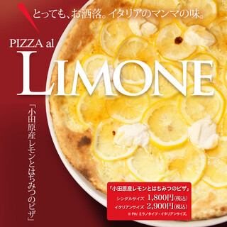 ヒッコリーファーム_2