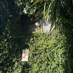 麺処 まるよし商店 - 