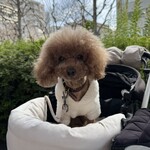 クッチーナ デル カンポ - 日当たり良好