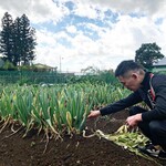 東京ITALIAN AKATSUKA - 