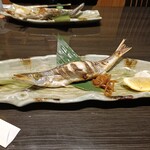 やっちろ - カマスの塩焼き　大サイズ３０センチはあろうかと　　食べ応え有りました