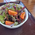 湖畔の里つきがせ - ミニサラダ