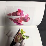 レストラン サンパウ - ⑬