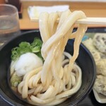 手打ちうどんますや - 