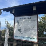 手打ちうどんますや - 