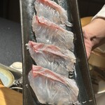 鮨shizuku 西天満 - 