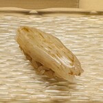 髙橋 謙太郎 - アオリイカ