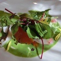 Cuisine Franco-japonaise Matsushima - 脂の乗った鰆のサラダ仕立て　蕪、柿、キャベツを添えて　菊菜のソース