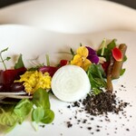 プレゼンテ スギ - 