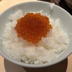 正しい晩ごはん 白-はく- - いくらご飯
