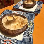 俺の炉端 またこよ - 