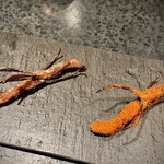 イチリン ハナレ - 2026.1.  鴨舌