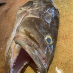 おいしいワイン 季節のお料理 ハチアナ - 