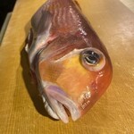 おいしいワイン 季節のお料理 ハチアナ - 