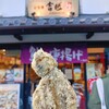 小田原 吉匠 ミナカ小田原店