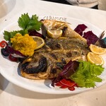 カンパーニア - 