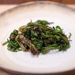 HAGI - 2026.1 薪焼き地物芹 芹の擂り流しオイル（米油）