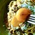 PASTA of LIFE