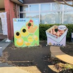 Cocco-Farm Factory C+ - 