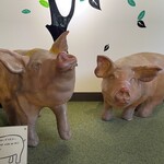 とんとん農場レストラン - 