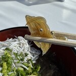 どんぶりハウス - 生しらす漁師漬け。駒寄のSAで冷凍売ってたから息子のお土産にした。