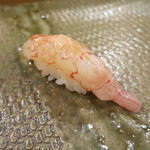 鮨匠 のむら - 鹿児島でしか食べられないナミクダヒゲエビ。