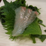 鮨匠 のむら - ヒラメ。