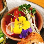 大和の料理店 - 前菜8種盛り