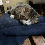 やきとり はしば - 猫のボス