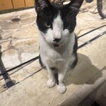 海鮮酒家 中山 - 