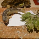 鮨 むらやま - 鮎とコシアブラの天ぷら