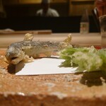 鮨 むらやま - 鮎とコシアブラの天ぷら