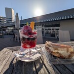 ESOLA ABISON GARDEN - 