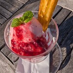 ESOLA ABISON GARDEN - 