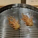 てんぷら 下村 - 