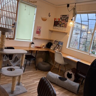 ねこのいるカフェ ねこあん_2