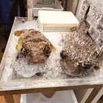 那覇市第一牧志公設市場 仮設市場 - 