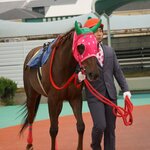 PIECE OF BAKE 大阪梅田阪急三番街店 - 園田競馬場のイチゴチャン