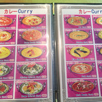 ニューサティ - 通常メニューはカレーはもちろんサイドメニューも充実。