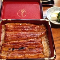 明神下 神田川 本店 - 鰻重