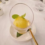 The Backyard - キンカンとミントのソルベ