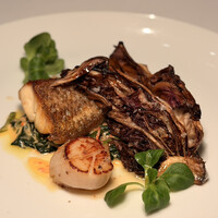 THE COSMOPOLITAN GRILL BAR TERRACE - 