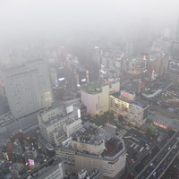 タワーズバー ベロビスト - 